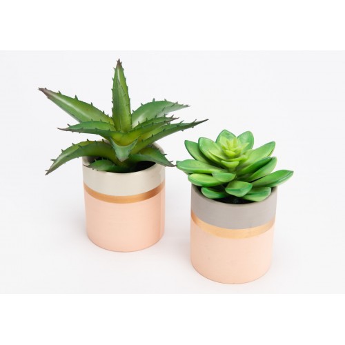 CACTUS POT DECO