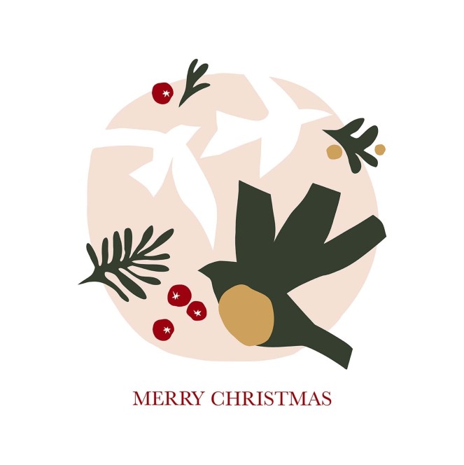 cojín navidad laponia 43 de 50 x 50