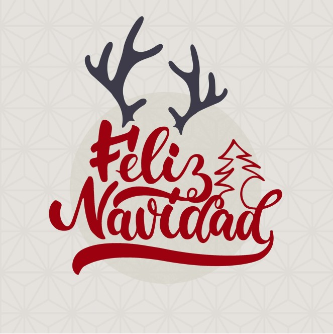 cojín navidad Laponia 32 de 50 x 50