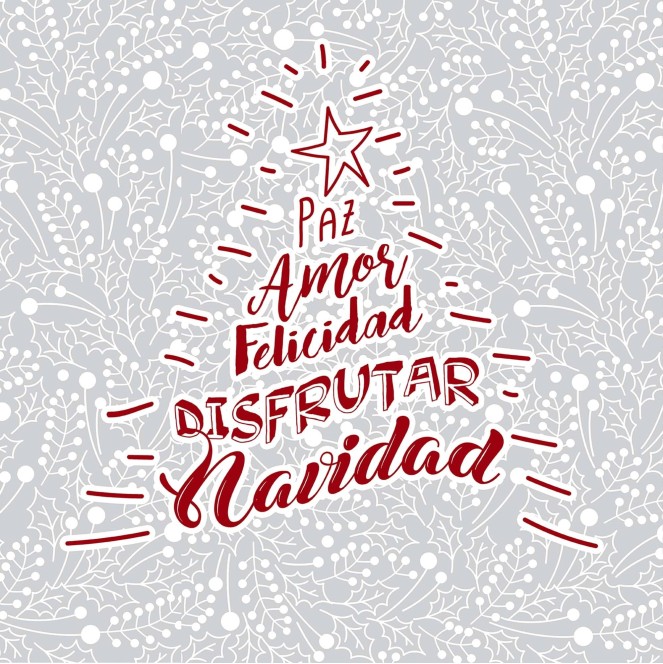 cojín navidad laponia de 50 x 50