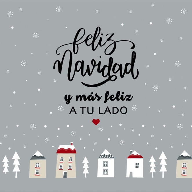 cojín navidad laponia 34 de 50 x 50