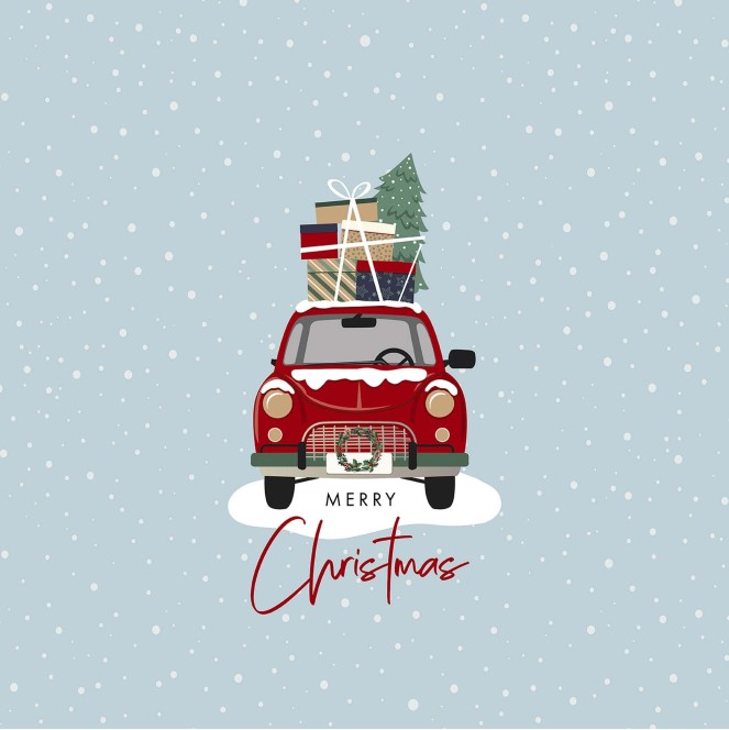 cojín navidad laponia 39 de 50 x 50