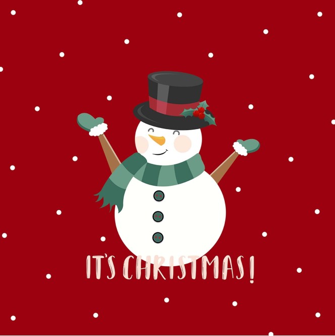 cojín navidad laponia 38 de 50 x50