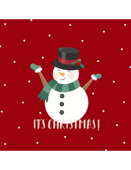 cojín navidad laponia 38 de 50 x50